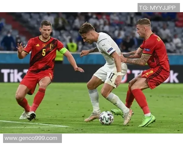 法国与比利时比赛盘口赔率分析及投注建议详解